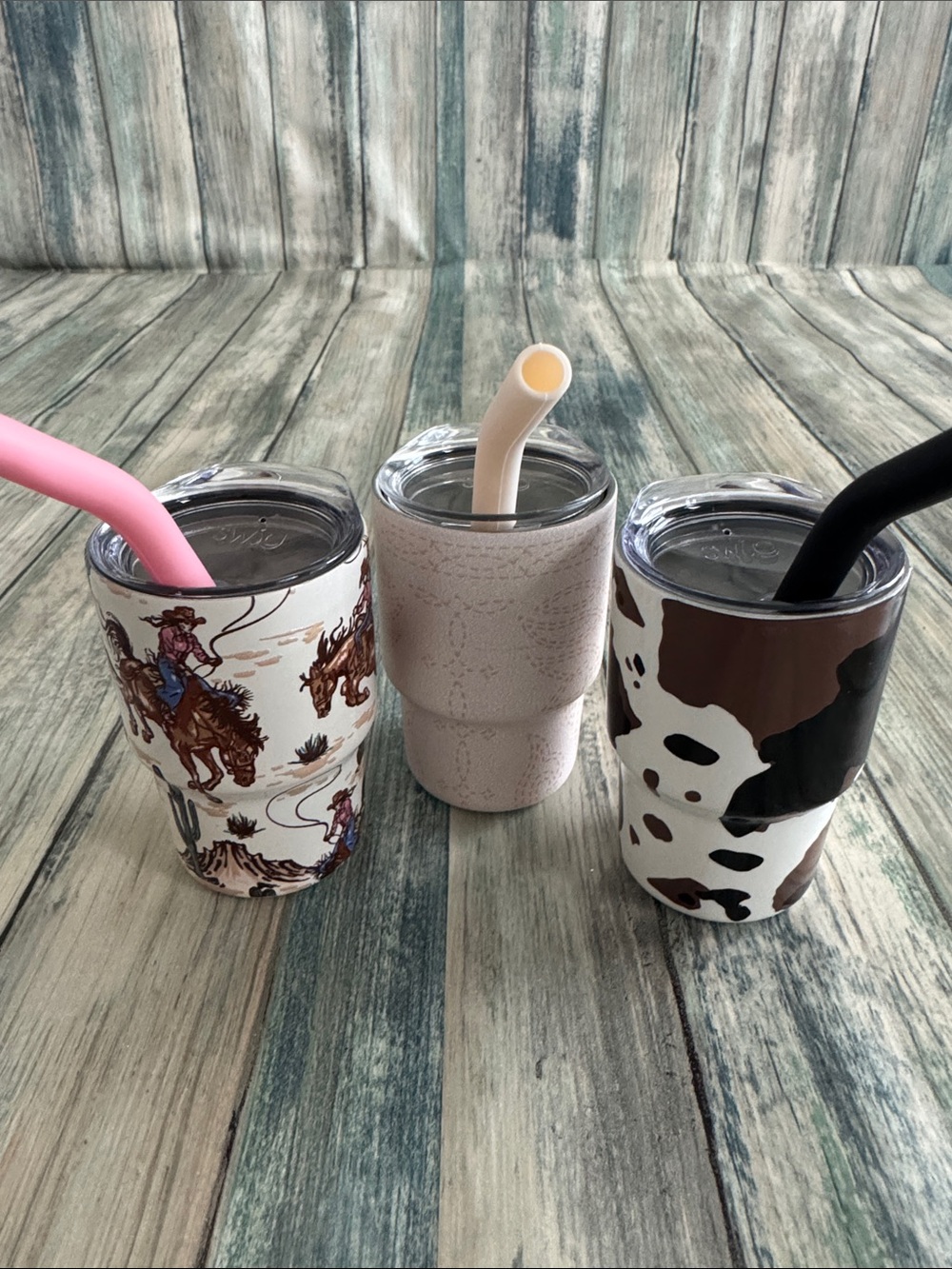 NWT Swig Life Mini Tumbler Set